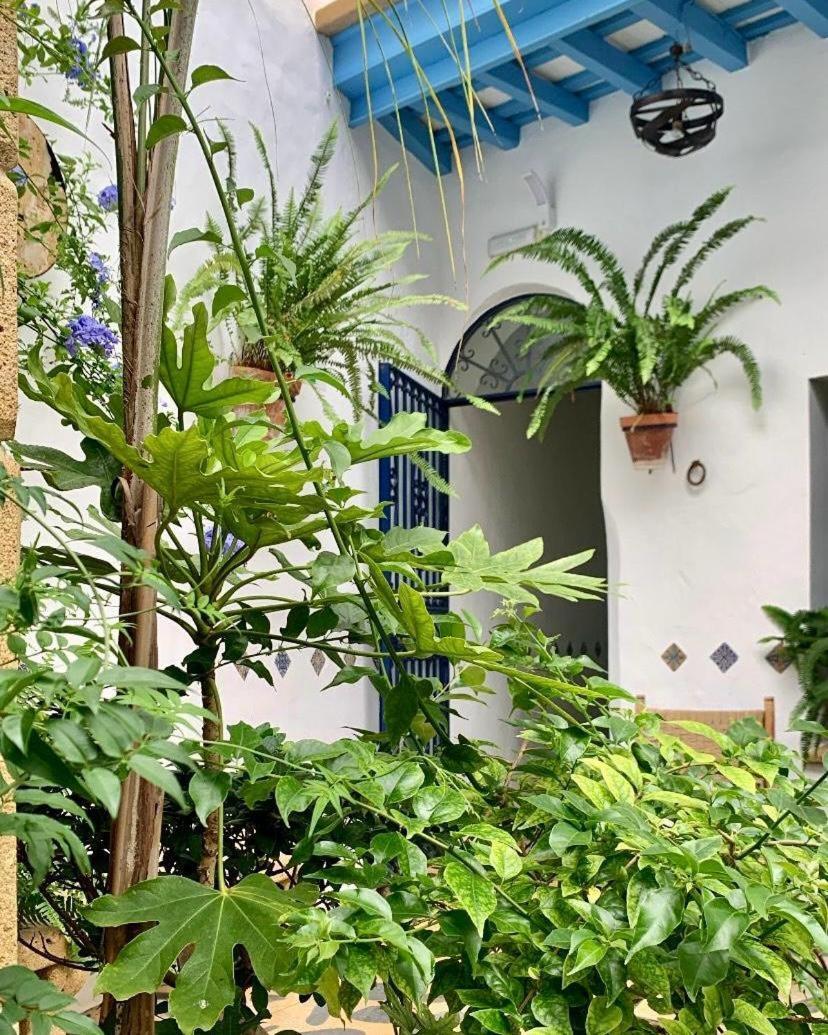 קוניל דה לה פרונטרה Hostal Casa Alborada מראה חיצוני תמונה